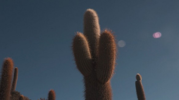 Los Andes por Bolivia